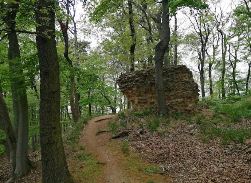 Burgruine Jossa, Seeheim-Jugenheim, Germany, Germany